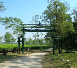 Gorumara National Park