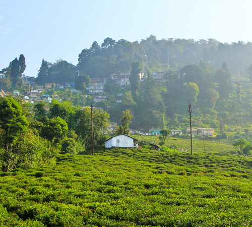 Darjeeling The Queen of Hills