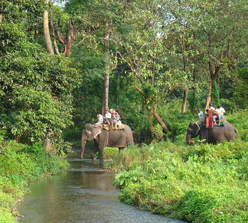 Jungle Safari in Dooars